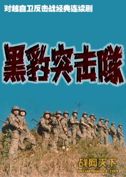 黑豹突击队（四全集）()海报