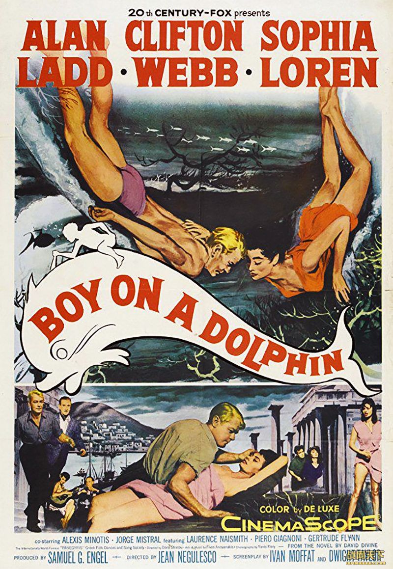 ͯ ¼(Boy on a Dolphin)